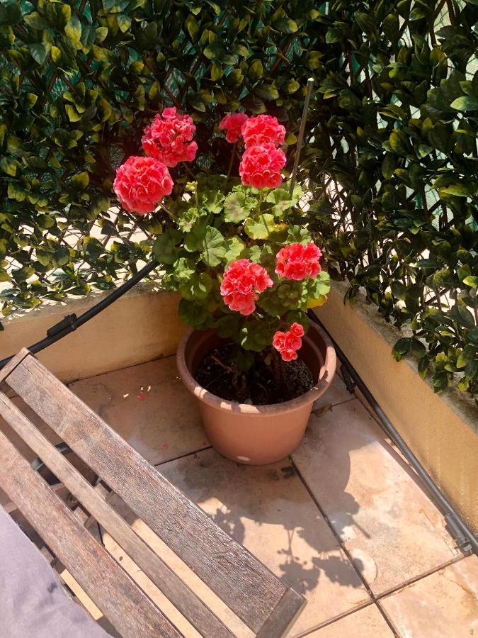 Mon Appart Avec Terrasse Et Piscine โรกบรูน-กัป-มาร์แต็ง ภายนอก รูปภาพ